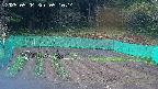 kannonmori-20250504051016.jpg