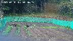 kannonmori-20250504053016.jpg