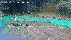 kannonmori-20250504054017.jpg