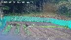 kannonmori-20250504055015.jpg
