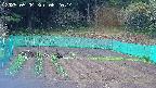 kannonmori-20250504062016.jpg