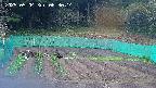 kannonmori-20250504063016.jpg