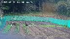 kannonmori-20250504065017.jpg