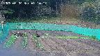 kannonmori-20250504071015.jpg