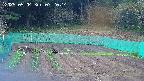 kannonmori-20250504072016.jpg