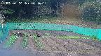 kannonmori-20250504073016.jpg