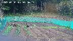 kannonmori-20250504074015.jpg
