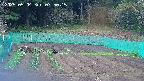 kannonmori-20250504075016.jpg