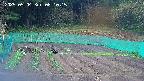 kannonmori-20250504081016.jpg