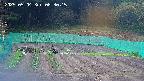 kannonmori-20250504083016.jpg