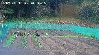 kannonmori-20250504084016.jpg