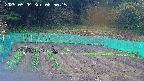 kannonmori-20250504085015.jpg