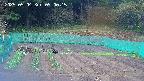 kannonmori-20250504090016.jpg