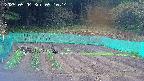kannonmori-20250504091016.jpg