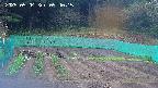 kannonmori-20250504094017.jpg