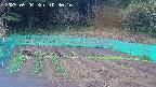 kannonmori-20250504103017.jpg