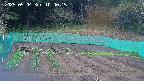 kannonmori-20250504104016.jpg