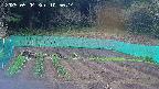 kannonmori-20250504105016.jpg