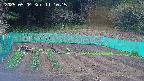 kannonmori-20250504111017.jpg