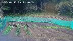 kannonmori-20250504113019.jpg