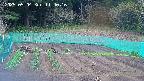 kannonmori-20250504114017.jpg