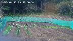 kannonmori-20250504120017.jpg