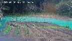 kannonmori-20250504131018.jpg