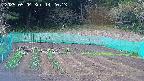 kannonmori-20250504142015.jpg