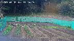kannonmori-20250504151016.jpg