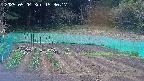 kannonmori-20250504153018.jpg