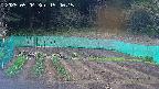 kannonmori-20250504154016.jpg