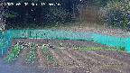 kannonmori-20250504155019.jpg