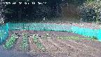 kannonmori-20250504160015.jpg