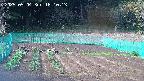 kannonmori-20250504161015.jpg