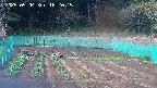 kannonmori-20250504162017.jpg