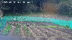 kannonmori-20250504165015.jpg