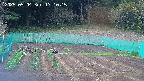 kannonmori-20250504171017.jpg