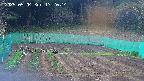 kannonmori-20250504172016.jpg