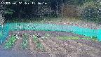 kannonmori-20250504173018.jpg