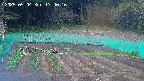 kannonmori-20250504174018.jpg