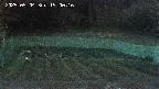 kannonmori-20250504190017.jpg