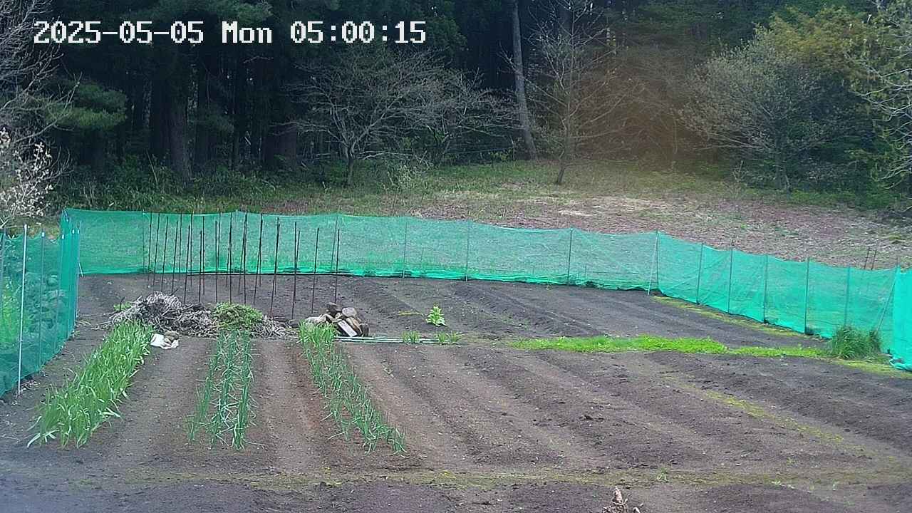 kannonmori-20250505050017.jpg