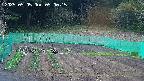 kannonmori-20250505050017.jpg
