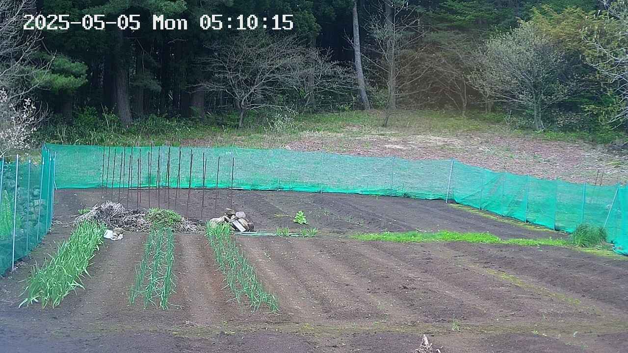 kannonmori-20250505051016.jpg