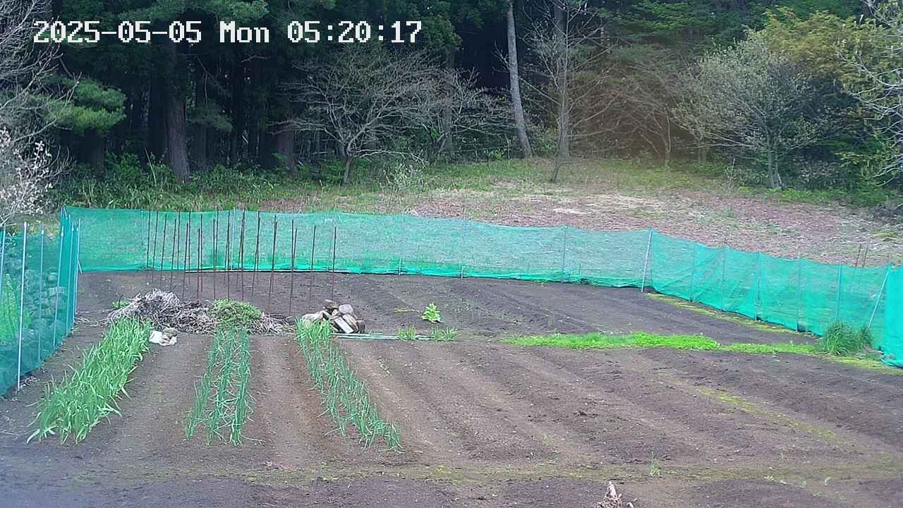 kannonmori-20250505052018.jpg