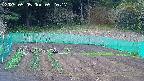kannonmori-20250505052018.jpg