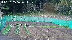 kannonmori-20250505053018.jpg