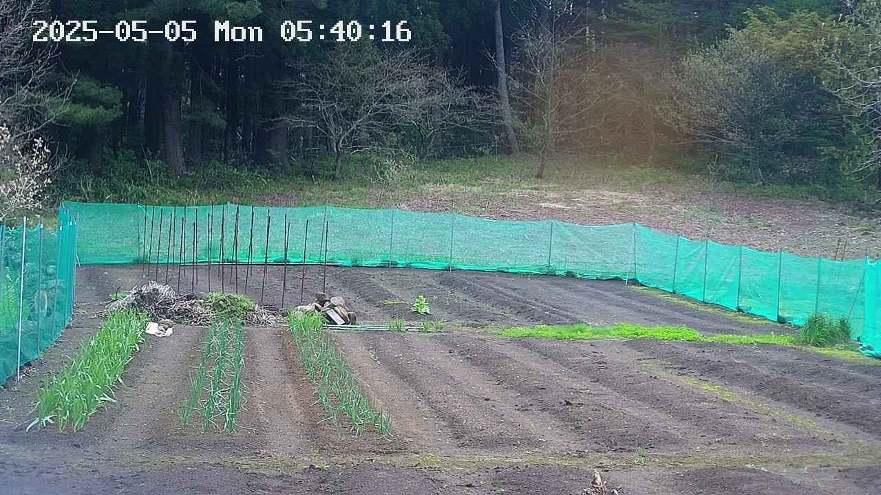 kannonmori-20250505054017.jpg
