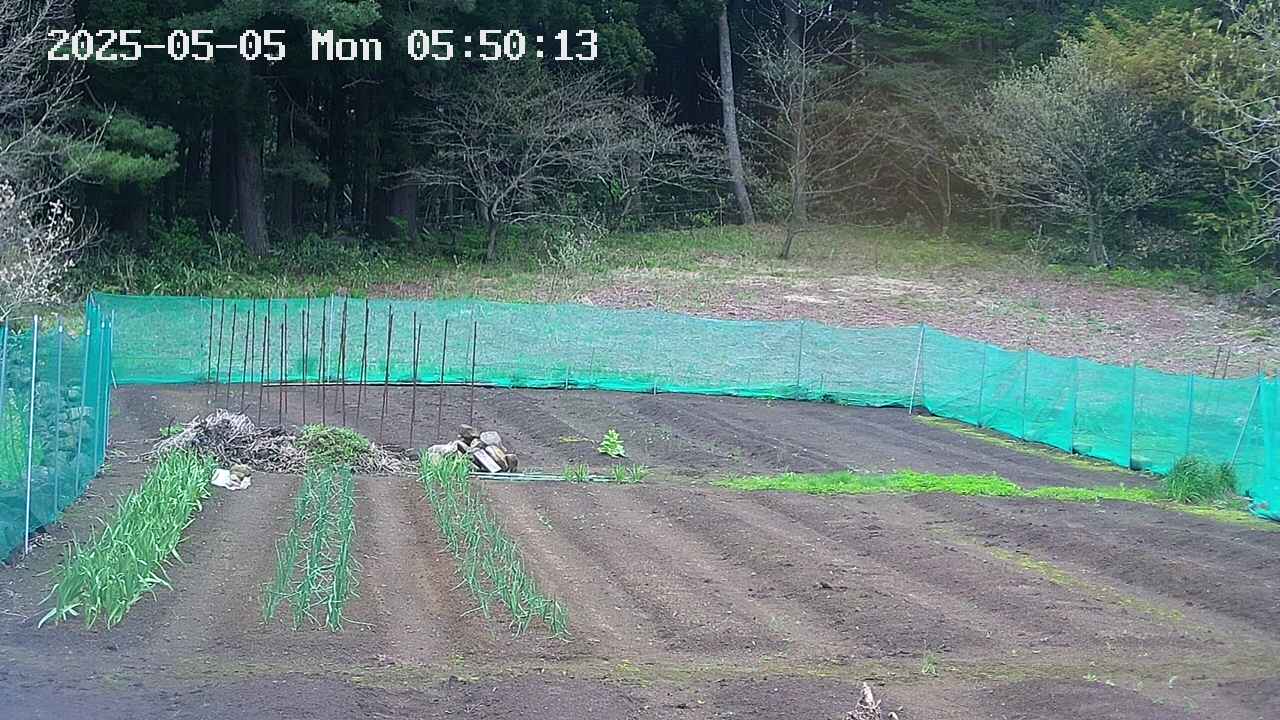 kannonmori-20250505055014.jpg
