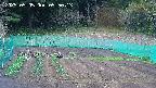 kannonmori-20250505055014.jpg